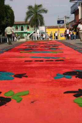 Vivos Colores son  la Caracteristica