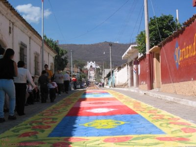 Alfombra Terminada (pintada sobre el adoquin)