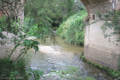 Bajo el Puente Xolacoy Convergen: el Rio Taltic y el Rio Canoel