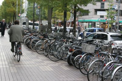 La Bicicleta es un Medio de Transporte muy Popular