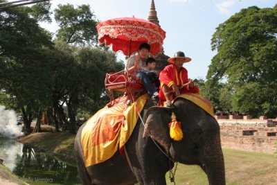 Un Paseo en Elefante (atraccin turistica)