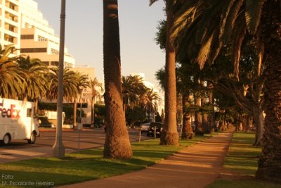 Ocean Avenue en Santa Monica