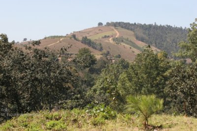 Pasiaje Caracteristico de los Alrededores
