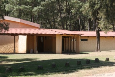 Museo Local