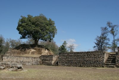 Vista hacia el Norte del Sitio