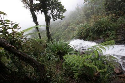 Inicio de una de las Varia Cataratas