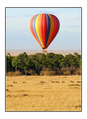 Over The Migration