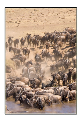 Crossing in numbers