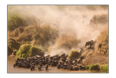 Bottleneck