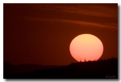 Sunspot Sunset