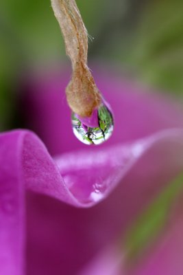 IMG_0506