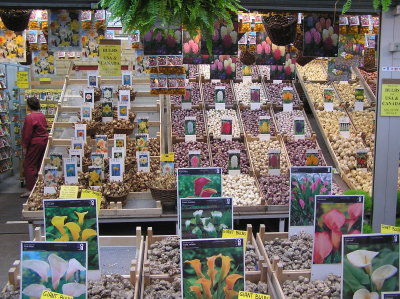 Flower market / Le march aux fleurs