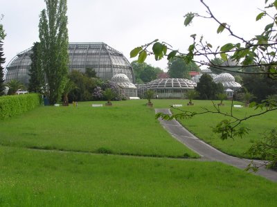 Le jardin botanique