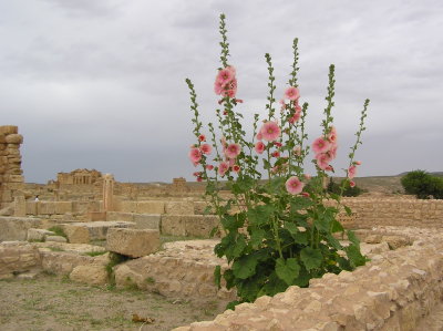 Sbeitla site romain