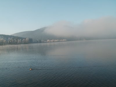 Brume hivernale sur le lac