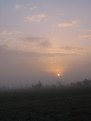 Un matin brumeux de Novembre - A foggy November's morning