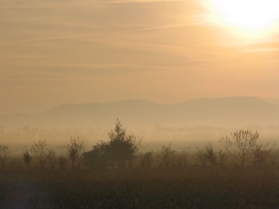 Lever de soleil en camaeu - A foggy sunrise