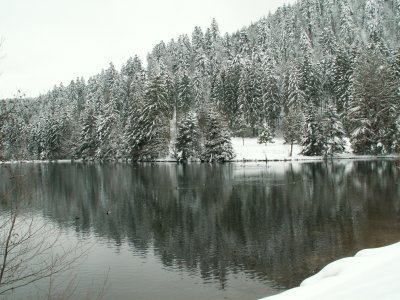 Le lac de Longemer au gr des saisons