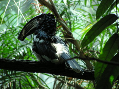 Bronx Zoo 037