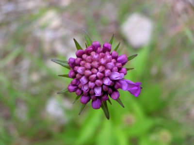 P7230036