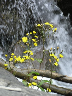 P7270064
