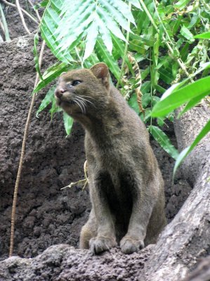 Berlin Zoo