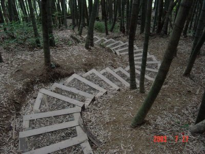Ruey Tei Ancient Path ·ç¤Ó¥j¹D