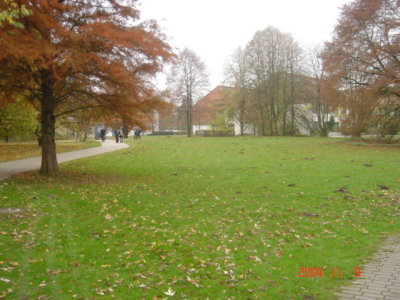 g6/03/744603/3/74155143.cSoSxt4Z.jpg