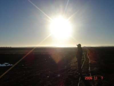Peat bog