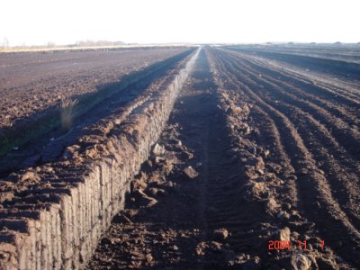 Raised Bog Peat