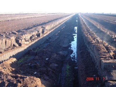 Raised Bog Peat