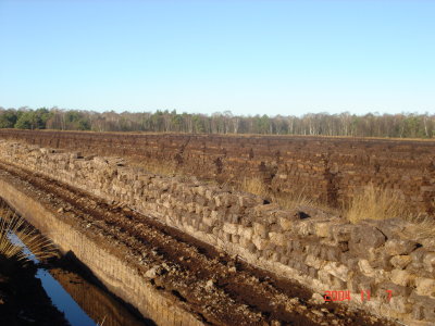 Raised Bog Peat