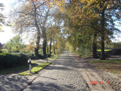 g6/03/744603/3/74155393.V8eFtStz.jpg