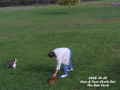 2006-10-20_JazzFaceNewYard.jpg