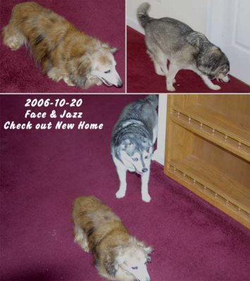 2006-10-20_JazzFaceNewHouse.jpg