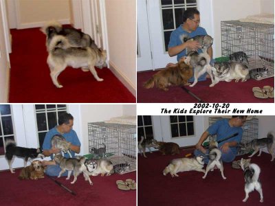 2006-10-20_KidsExploreHome00.jpg