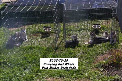 2006-10-29_KidProofingDe00.jpg