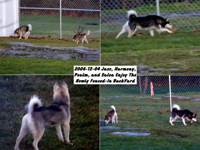 2006-12-04_JHPS-EnjoyBYard.jpg