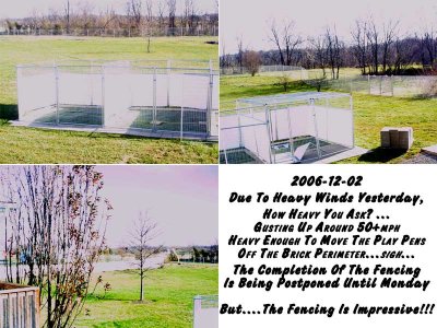 2006-12-02_PostWindStormEffect.jpg