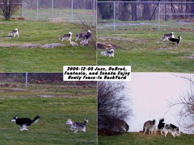 2006-12-05_JDFS-EnjoyBY00.jpg