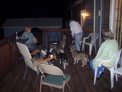g6/03/75703/3/72763172.kPaN0InO.jpg