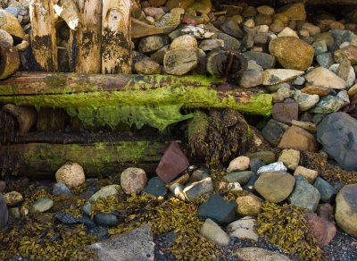 070820_maine07_9854.jpg