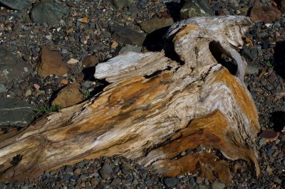 070820_maine07_9883.jpg