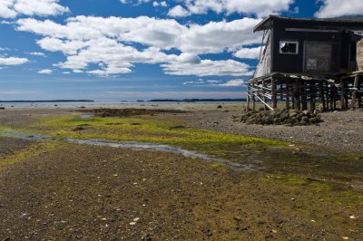 070820_maine07_9936.jpg
