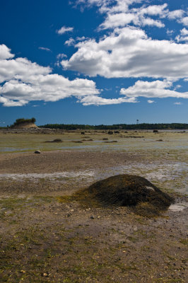 070820_maine07_9948.jpg