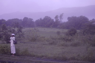Waiting in the mist