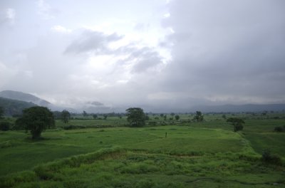 Landscape