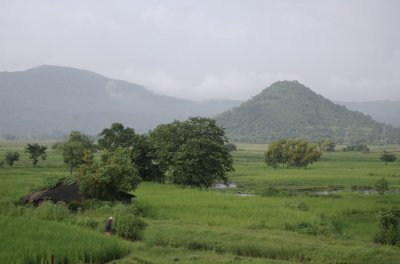 Landscape