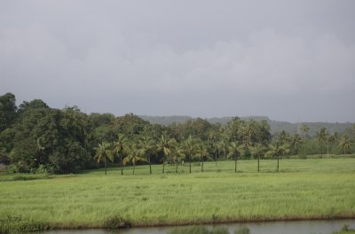 Landscape