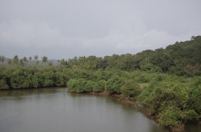 Landscape